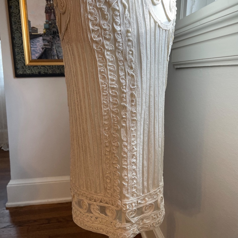 Designer Cache Elegant Sheath Amazing Applique - Picture 7 of 16
